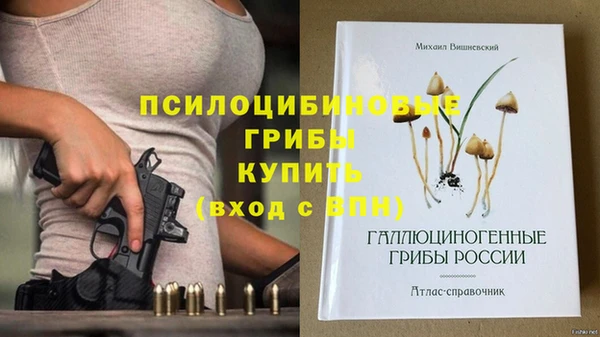 герыч Балахна