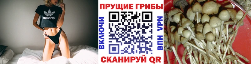 Псилоцибиновые грибы Magic Shrooms Бородино